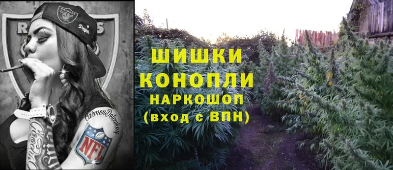 Бошки марихуана OG Kush  Моздок 